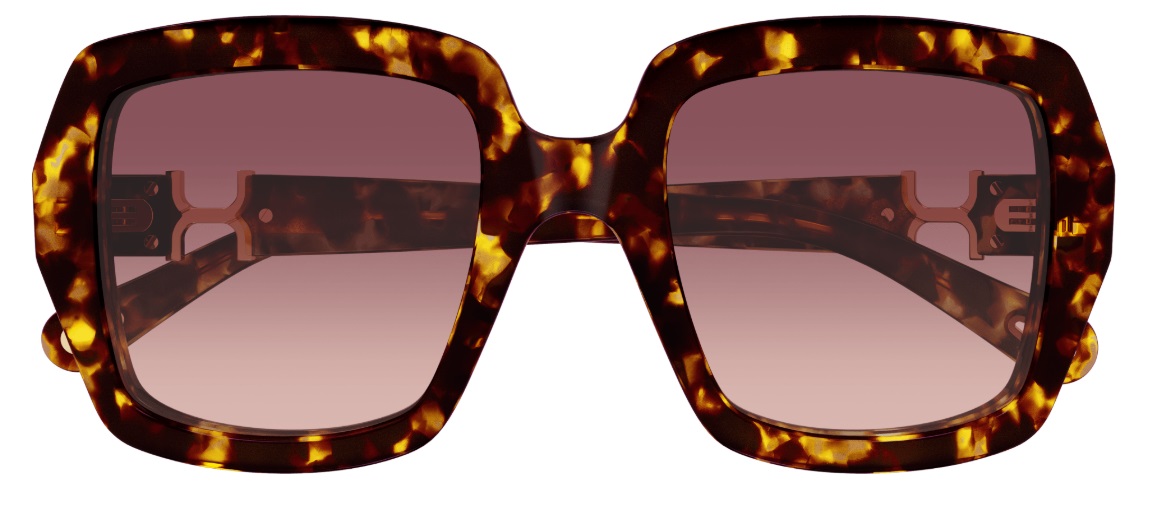 CH0301S-002.