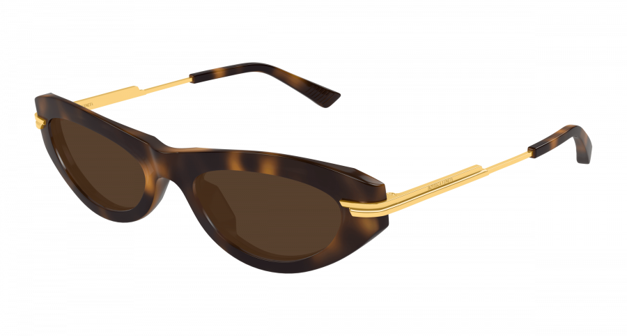 BV1368S-002