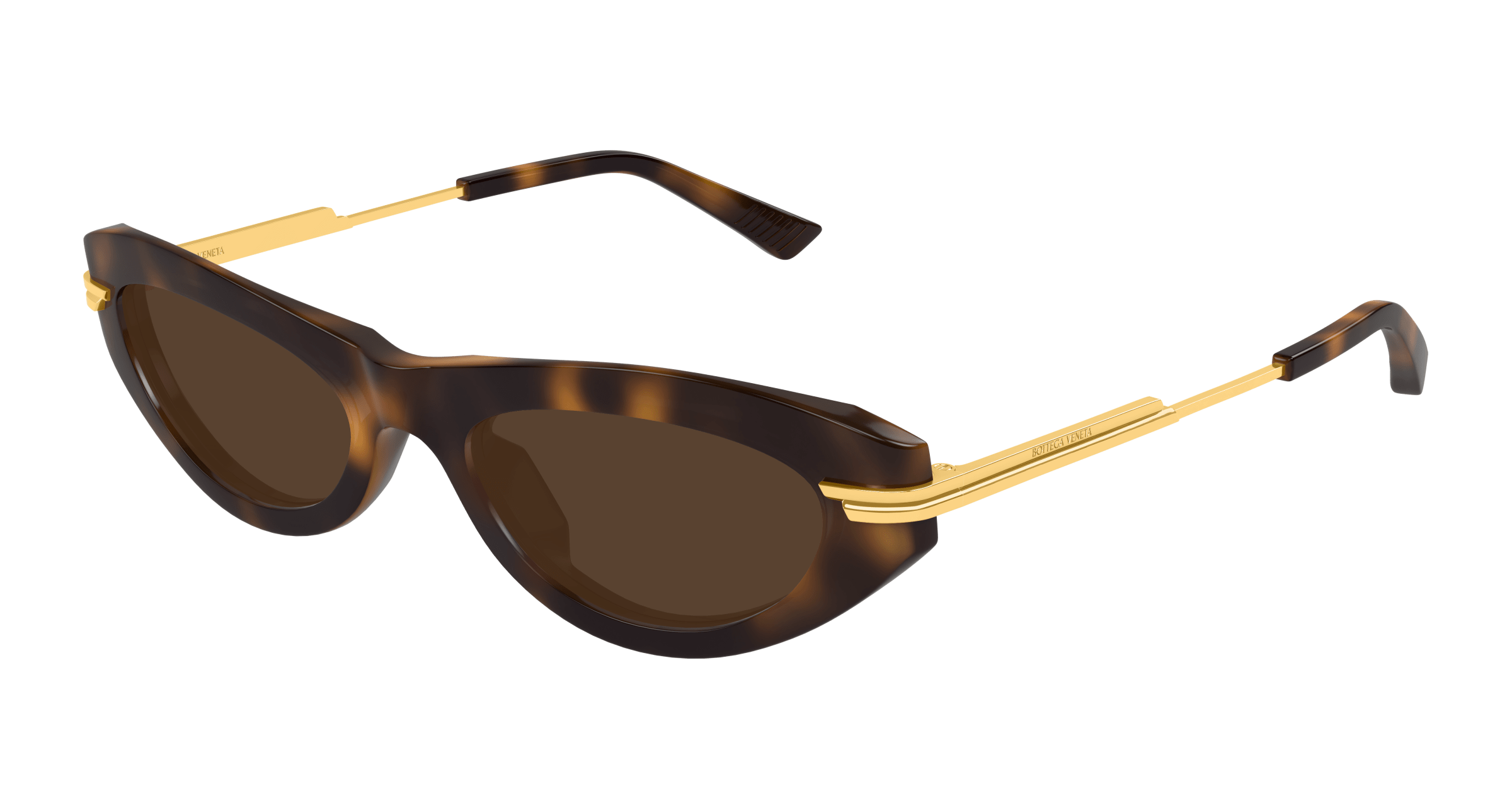 BV1368S-002-01
