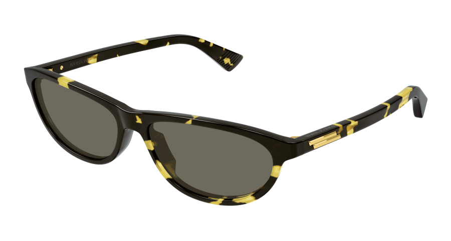 BV1497S-002