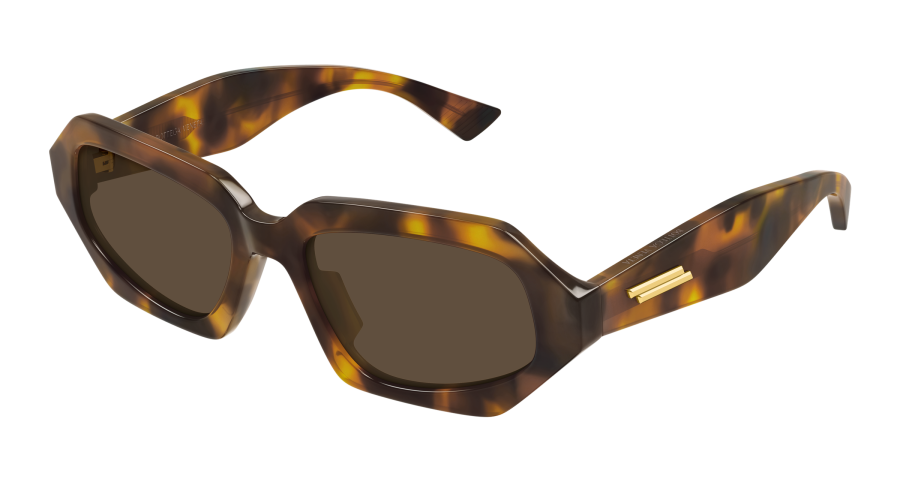 BV1502S-002
