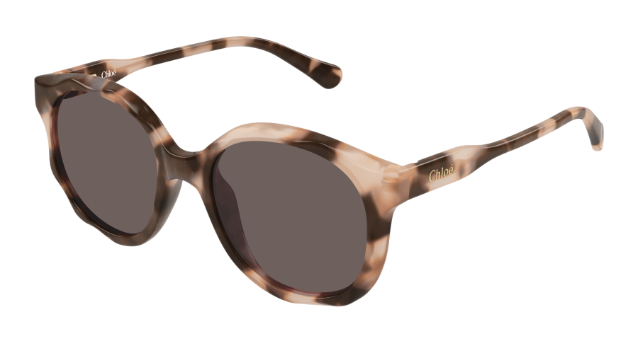 CC0019S-006