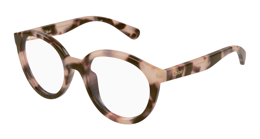 CC0022O-006