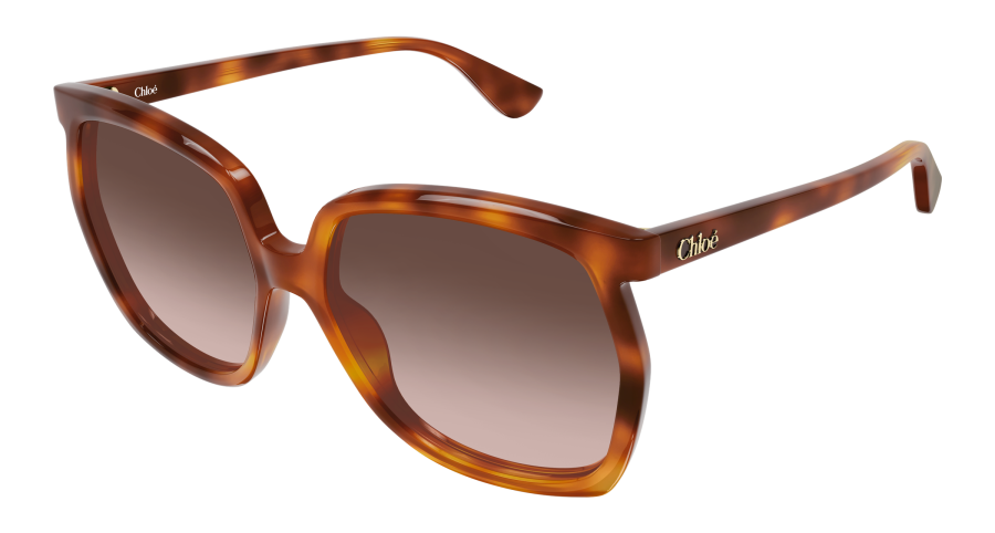 CH0389S-002
